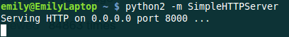 Using SimpleHTTPServer with Python2