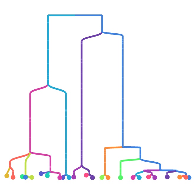 An example phylogeny